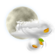 pcloudywn.png